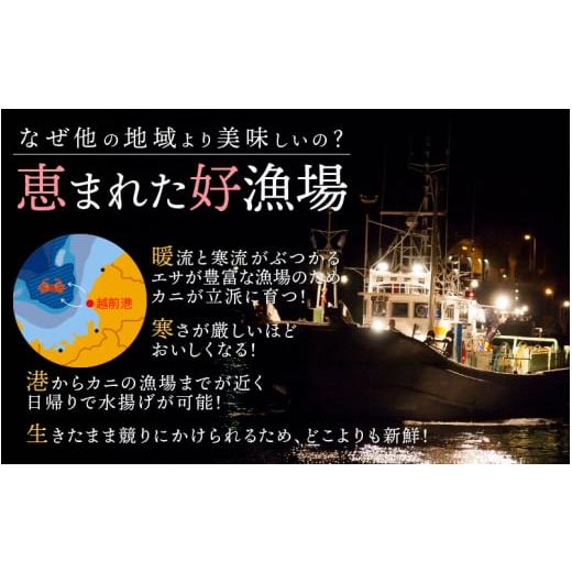 ふるさと納税 福井県 越前町 越前がに本場の越前町からお届け！ 越前がに 浜茹で 小サイズ（生で400〜600g） × 1杯【福井県 越前町 雄 ズワ…