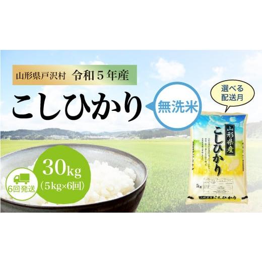 令和5年産 コシヒカリ  定期便 30?（5kg×1カ月間隔で6回お届け） ＜配送時期指定可＞ 山形県 戸沢村