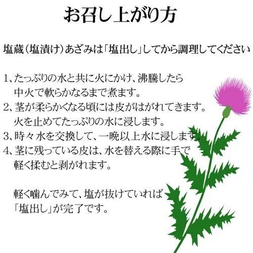 山形県飯豊町産 天然山菜 あざみ塩蔵 1kg 数量限定 飯豊町 メール便 クリックポスト