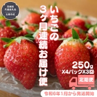  合計3kgお届け いちご の3ヶ月連続お届け便 （1回：250g×4パック）×3回 （県内共通返礼品：石岡市産） 果物 フルーツ イチゴ 苺 白いちご 白苺 とちおとめ 白いちご 紅ほっぺ やよいひめ 定期便 [BI346-NT]