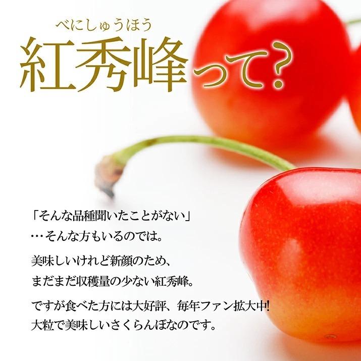 さくらんぼ 山形県産 紅秀峰 秀品 2L 500g 化粧箱入り 送料無料 (遠方送料加算) 食品 お中元 ギフト プレゼント