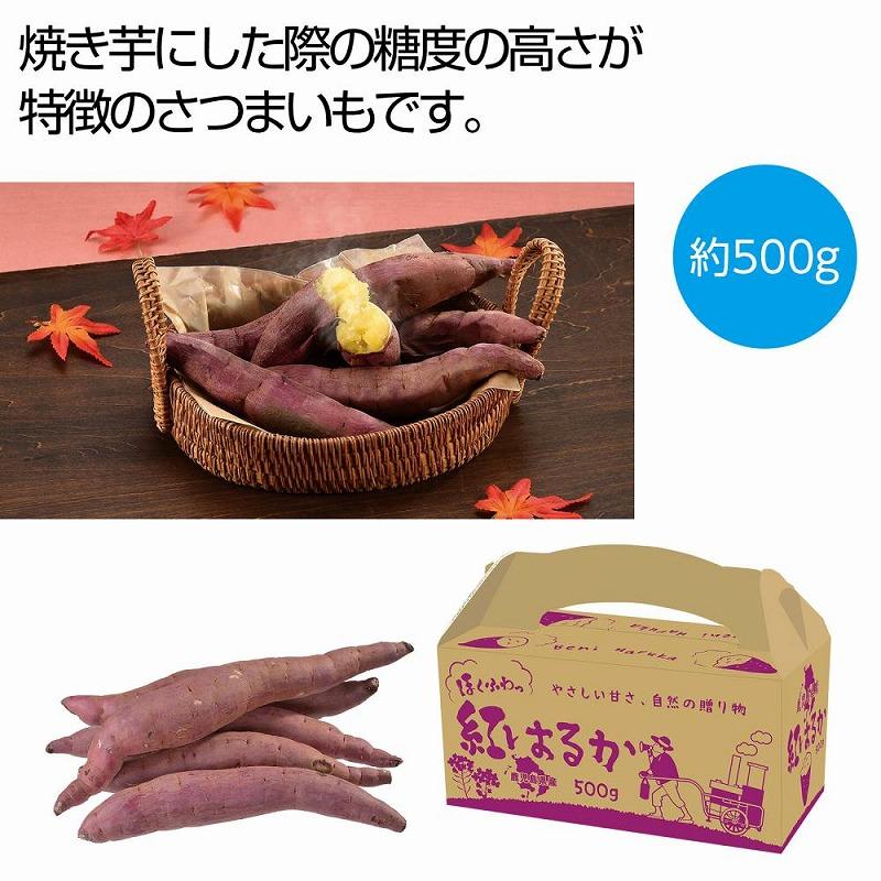 ほくふわっ 鹿児島県産紅はるか 500g　★ロット割れ不可　16個単位でご注文願います　　 さつまいも イモ 野菜 食品 食べ物 グルメ