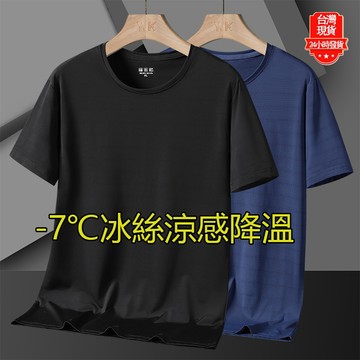 【台灣現貨】L-8XL大尺碼真冰絲尼龍t恤男 男生衣服 排汗衫 健身衣 涼感衣 網眼 透氣 速乾衣 情侶 短T 運動上衣