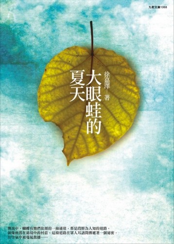 大眼蛙的夏天[二手書_良好]