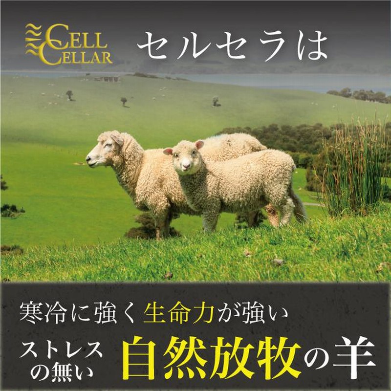 羊プラセンタ 公式店 高級サプリメント CELL CELLAR PREMIUM セルセラ プレミアム 美容 健康 エイジングケア ニュージーランド 6箱 セット 360粒 | LINEブランドカタログ