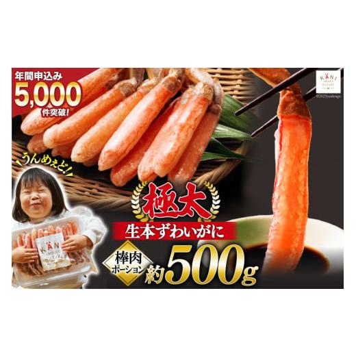 ふるさと納税 宮城県 気仙沼市 極太 生本ずわいがに 棒肉ポーション 約500g 15本〜20本入り 殻剥き不要 脚肉のみ [カネダイ 宮城県 気仙沼市 20562794] カ…