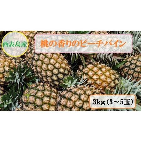 ふるさと納税 2024年 先行予約 ピーチパイン 約3kg 3〜5玉 桃の香り ますみ農園 パイン 果物 フルーツ パイン 沖縄県竹富町