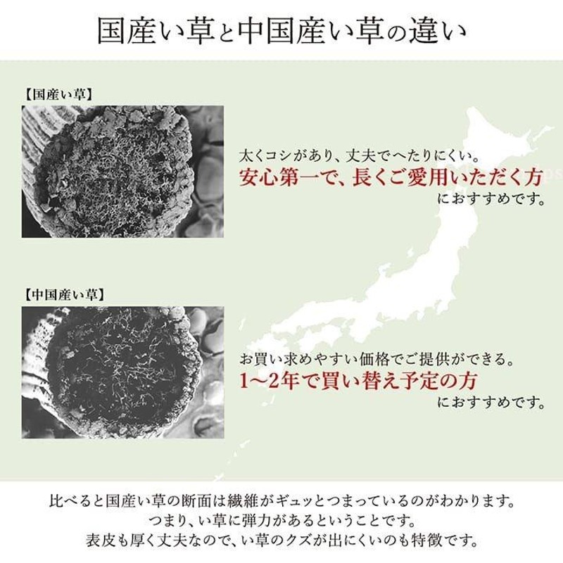 い草ラグ おしゃれ ランクス総色 191×191cm 約2畳 純国産 日本製 ござ