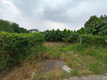 【專約】✨內埔｜新隘寮｜秘境農地✨｜屏東縣內埔鄉新隘寮段