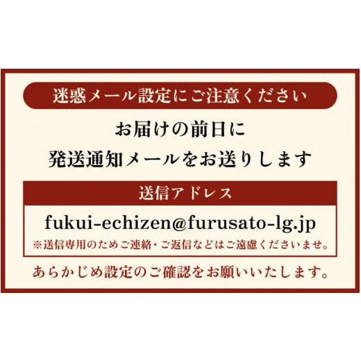 ふるさと納税 福井県 越前町 越前がに本場の越前町からお届け！ 越前がに 浜茹で600g〜900g前後（※生重量） × 2杯 かにの食べ方しおり付き【かに …