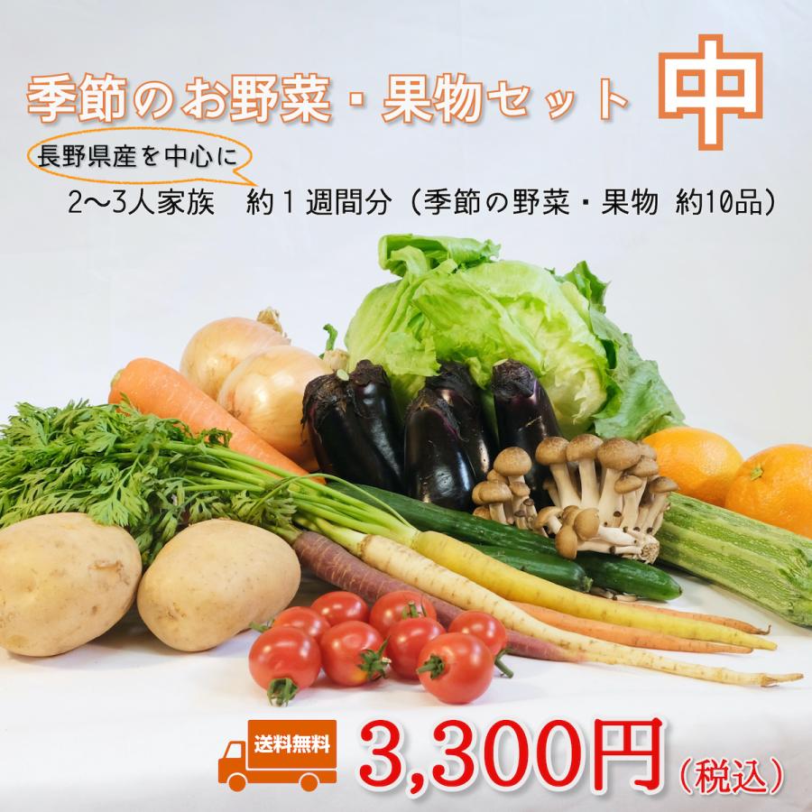 季節のお野菜・果物セット 中