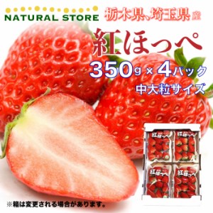 [予約 2024年1月5日-1月30日の納品] いちご 紅ほっぺ 約1.4kg 中大粒 埼玉県産 栃木県産ほか 冬ギフト お歳暮 御歳暮