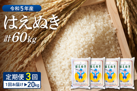 ※2024年4月前半スタート※はえぬき 60kg定期便（20kg×3回）山形県産