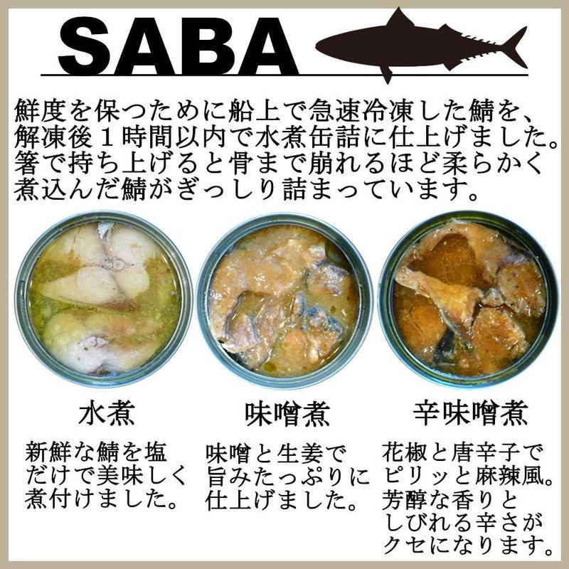 さば 缶詰 ピリ辛味噌煮 200gx48缶 麻辣味 マー活 鯖 サバ さば缶 おつまみ さばかん 業務用 まとめ買い