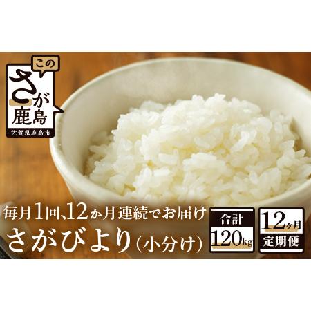 ふるさと納税 鹿島市産さがびより１０kg×１２か月定期便 V-28 佐賀県鹿島市