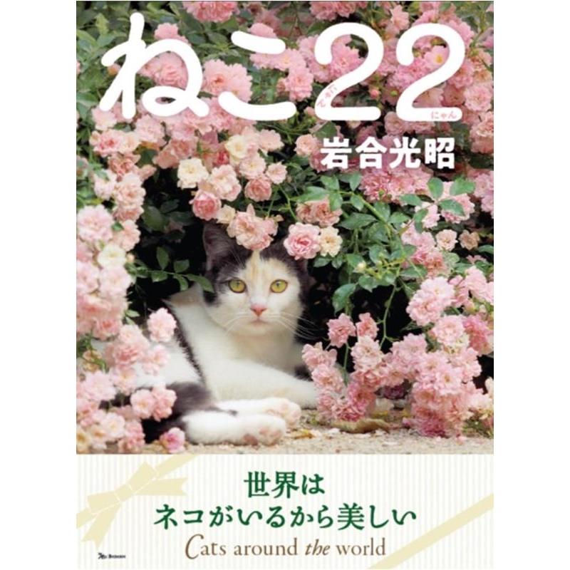 ねこ22 岩合光昭