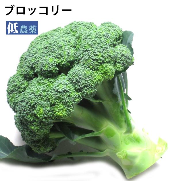 常備野菜　ブロッコリー  無農薬栽培　12個 送料込