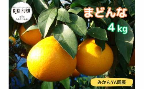 「まどんな」4kg（数量限定）