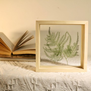 【文竹標本相框】房間佈置/ 居家擺飾
