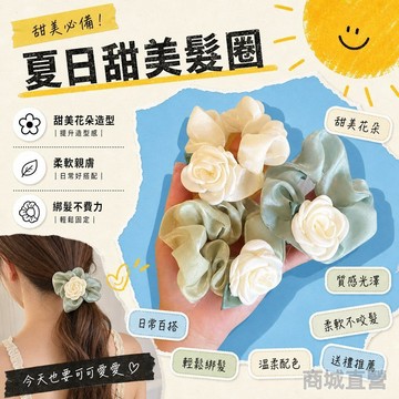 🥇金牌賣家 優選直營💎乾枯玫瑰大腸髮圈甜美髮繩花朵頭繩女生森系扎頭髮不傷發橡皮筋