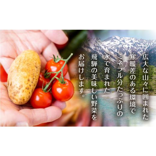 ふるさと納税 岐阜県 飛騨市 産直市から直送！ 飛騨産 旬の新鮮 野菜セット (6-8品)   〜2024年7月から11月にお届け〜