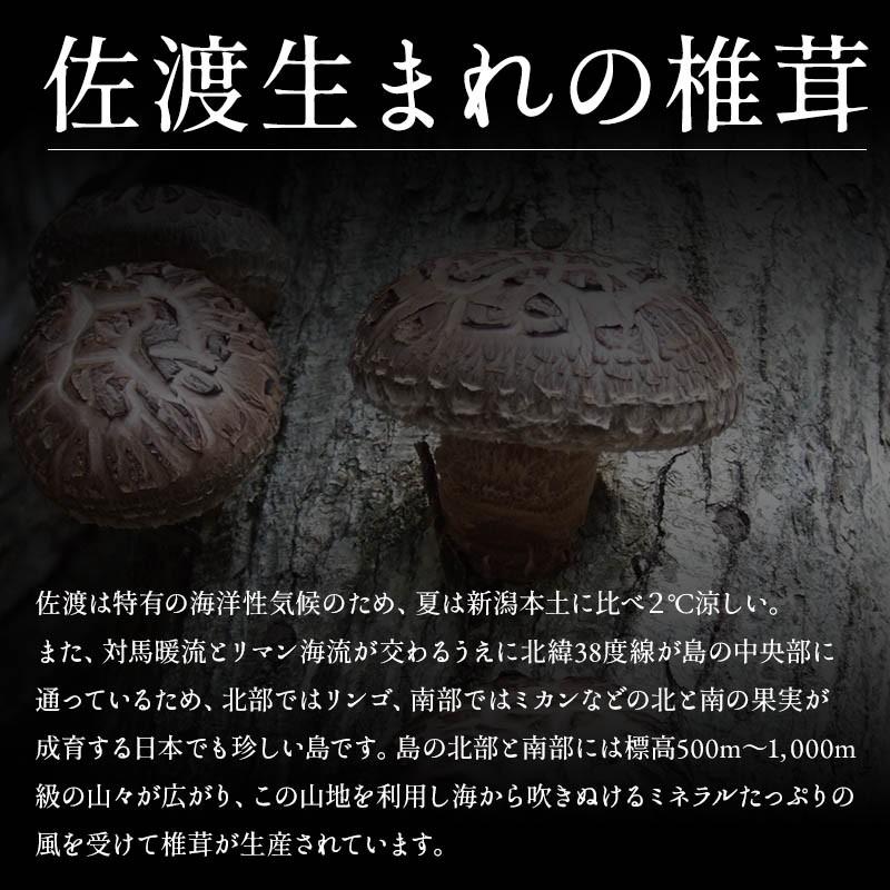 干し椎茸 国産 しいたけ 原木栽培 乾燥椎茸 原木しいたけ 佐渡産 完全無農薬 肉厚 お取り寄せ 60g