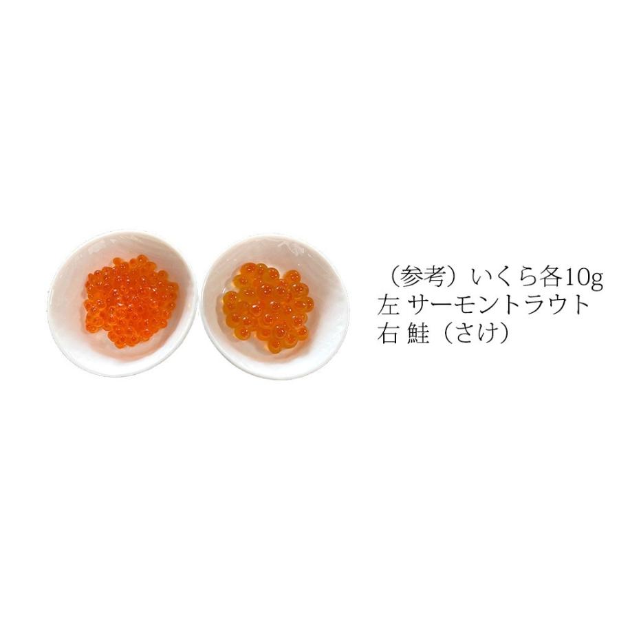 いくら イクラ 醤油漬 （ サーモントラウト 卵 ） 500g（250g×2パック入り）   北欧サーモン いくら イクラ 小粒 海鮮 丼 手巻き