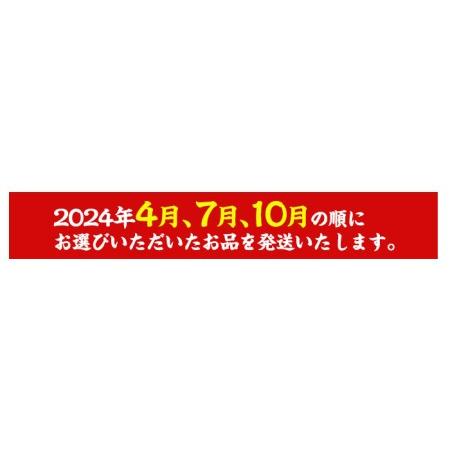 ふるさと納税 No.861t-A ＜定期便・全3回＞鹿児島黒豚使用の黒豚餃子(計96個・12個入り×8パック)×3回 鹿児島県日置市