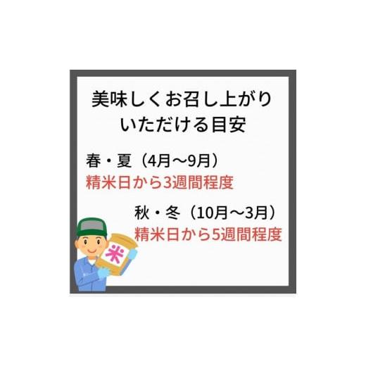 ふるさと納税 京都府 亀岡市 新米 令和5年産 京都 丹波産 きぬひかり 玄米 5kg×12回 計60kg≪5つ星お米マイスター 厳選 受注精米可 隔月発送も可≫…