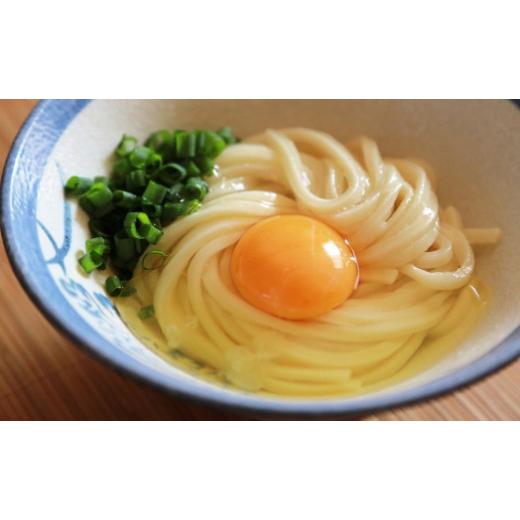 ふるさと納税 香川県 坂出市 讃岐生うどん24食入（1袋3食入×8袋）＊鎌田醤油だし醤油付＊池上製麺所監修！｜うどん 生麺