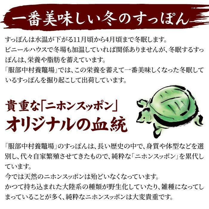 浜名湖の極上すっぽん鍋セット 800g（甲羅付き／400g×2パック） 服部中村養鼈場 お歳暮 スッポン 服部もの 服部中村養べつ場 切り身 すっぽん料理 鍋