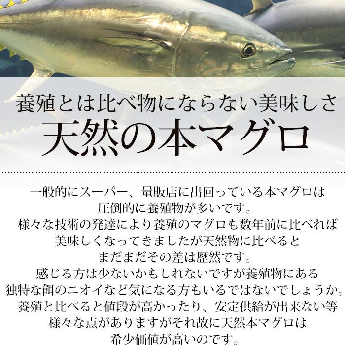 マグロ 天然本マグロ 中トロ 2柵セット（約120g〜150g 1柵） 2〜3人前