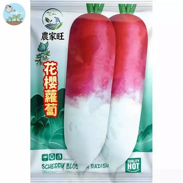 【原廠包裝】花櫻半身紅蘿蔔種子（Cherry Half Body Red Radish）400粒裝 日本品種 口感清甜