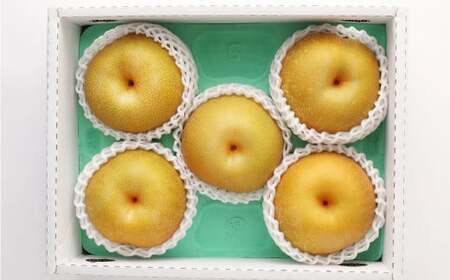 熊本県産 幸水梨 約2キロ 5～6玉入り 梨 なし ナシ フルーツ 果物