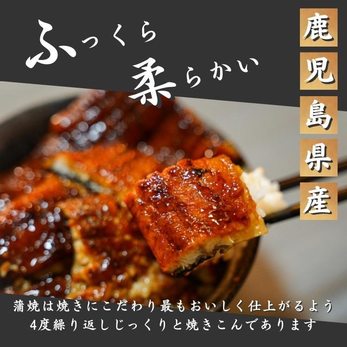 国産 鹿児島県産 うなぎ 蒲焼き 送料無料(本州のみ)「うなぎ蒲焼 180ｇ×10尾」無投薬 熟成 うなぎタレ 山椒付き 鰻 ウナギ ギフト