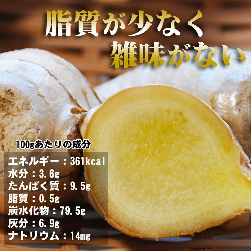 鳥取県産 熟成 生しょうが 4kg 茲矩(これのり)生姜 はらだ農産 産地直送 ショウガ ジンジャー