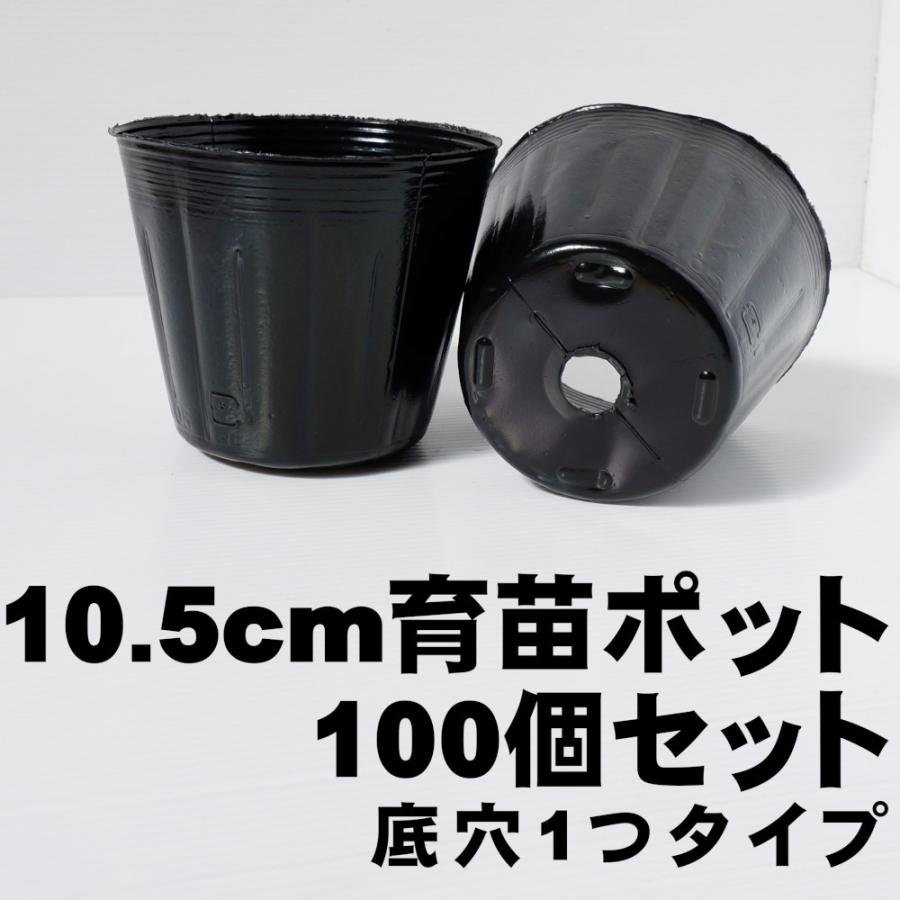 タネまき・育苗に「ノーマルポット  10.5cmサイズ100個セット」