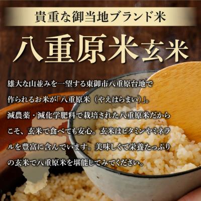 ふるさと納税 東御市 八重原米 玄米 2kg (2kg×1袋)