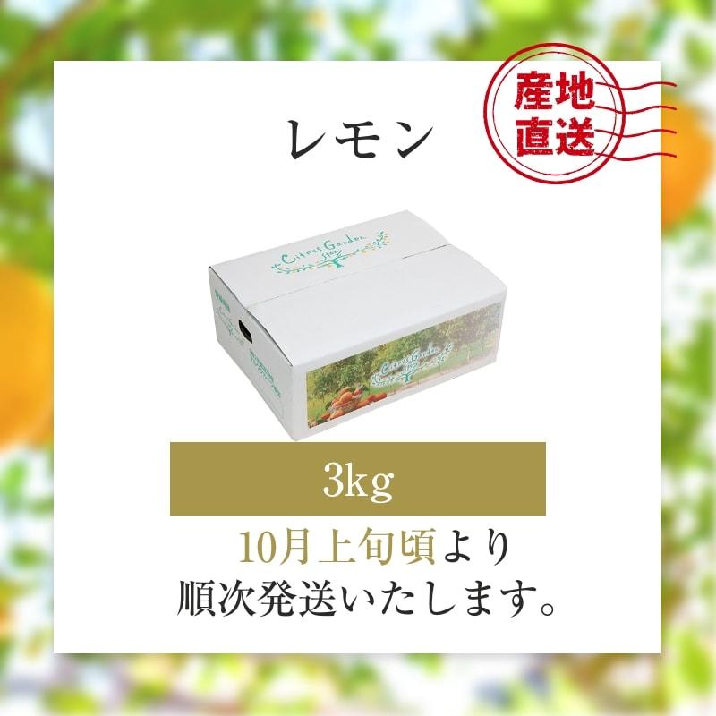 レモン 3kg 国産 愛媛産 送料無料 産地直送 柑橘 フルーツ 果物 防腐剤 防カビ剤 不使用 ノンワックス