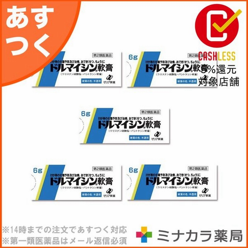 ドルマイシン軟膏 6g 外傷 やけどの化膿治療に 第2類医薬品 5個セット 通販 Lineポイント最大0 5 Get Lineショッピング