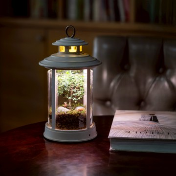 【Leaf'n Joy】植物提燈 原木植物燈 智能APP控制 L12-D168-B