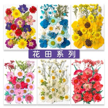 花田系列 中花包組合 真花壓花 永生花 花田系 少女寫真 壁畫 DIY水晶滴膠 乾燥花 植物標本
