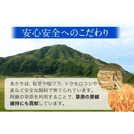 ふるさと納税 ロースステーキ 600g 200g×3枚 赤牛 あかうし《60日以内に順次出荷(土日祝除く)》 熊本県長洲町