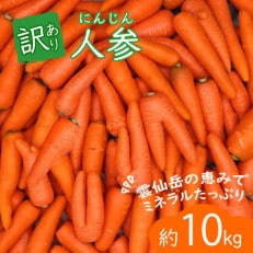 冬人参 約10kg