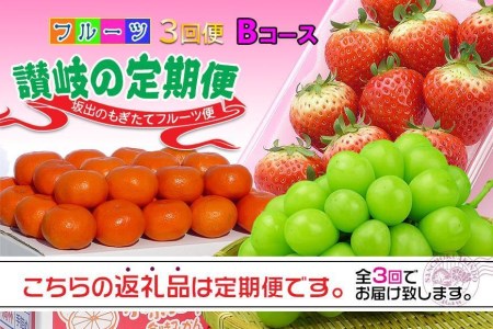  フルーツ セット 定期便 いちご 約250g × 4パック  シャインマスカット 1房 約600g以上  みかん 約5kg × 3ヶ月 ｜産直あきんど 坂出産 創業100年