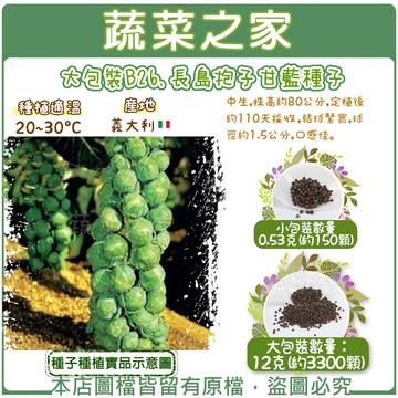 【蔬菜之家】B26.長島抱子甘藍種子(共有2種包裝可選)