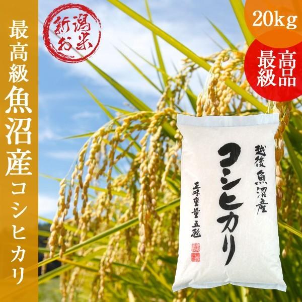 魚沼産 コシヒカリ 20kg(5kg×4) 令和5年新米 新潟県 白米 ご贈答 ギフト 特Ａ地区