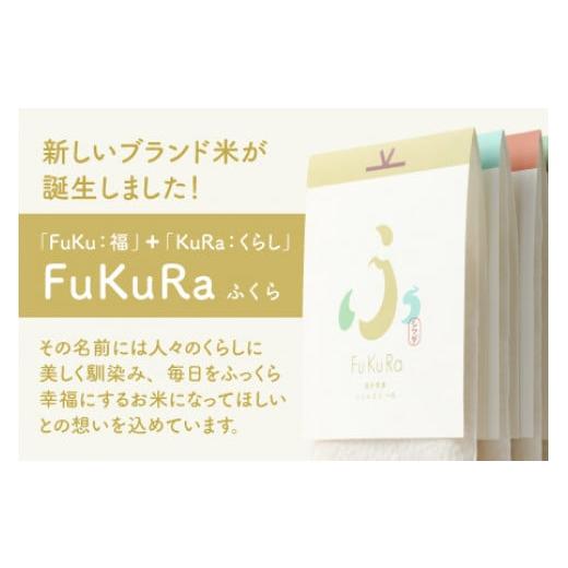 ふるさと納税 福井県 小浜市 『FuKuRa』無洗米真空パックこしひかり1合・5パック×4箱