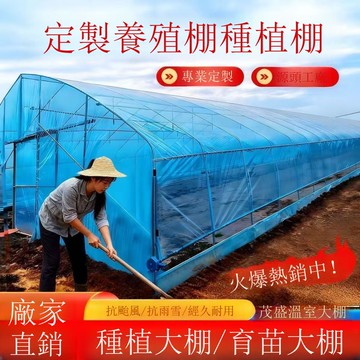 免運 公司貨 大棚 全套種植大棚骨架蔬菜大棚戶外農用簡易育苗棚花卉棚溫室大棚骨架 可開發票 全館八折 工廠現貨直銷 新品特價 h11224