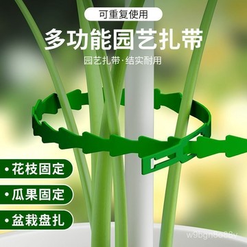 🔥臺灣出貨🔥可調節魚骨紮帶 捆綁綫 園藝紮帶 園藝束帶 盆栽裝飾 園藝綁帶 紮帶 綁帶 多用途園林綁樹藤蔓植物固定園藝可